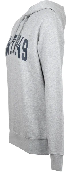 Banner Shield Hoodie grey melange