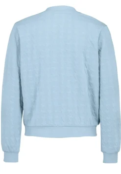 DOB Bomberjacke in jacquard sweat,langarm,Rippbündchen+Stehkragen sky grey blue
