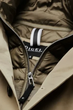 Dolan grün1