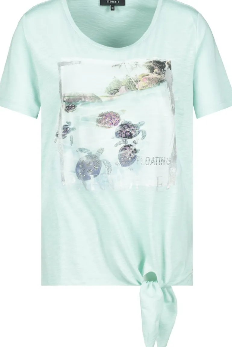 407816 fresh mint