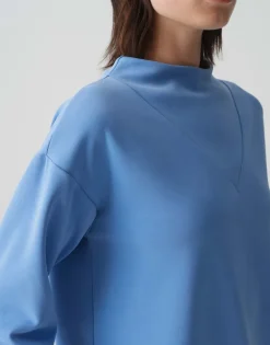 Ginsanu blue salt
