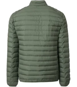 Jacke grün