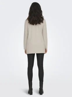 JDYGEGGO LIFE L/S BLAZER JRS NOOS chateau gray