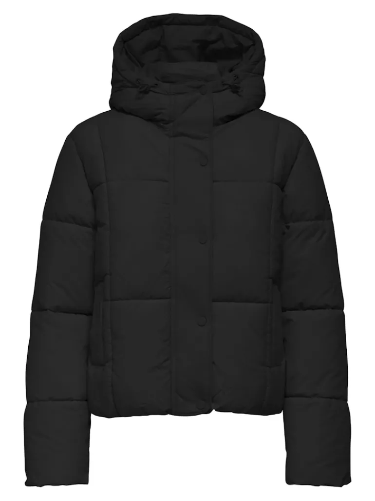JDYWONDER SHORT HOOD PUFFER OTW SIJ black