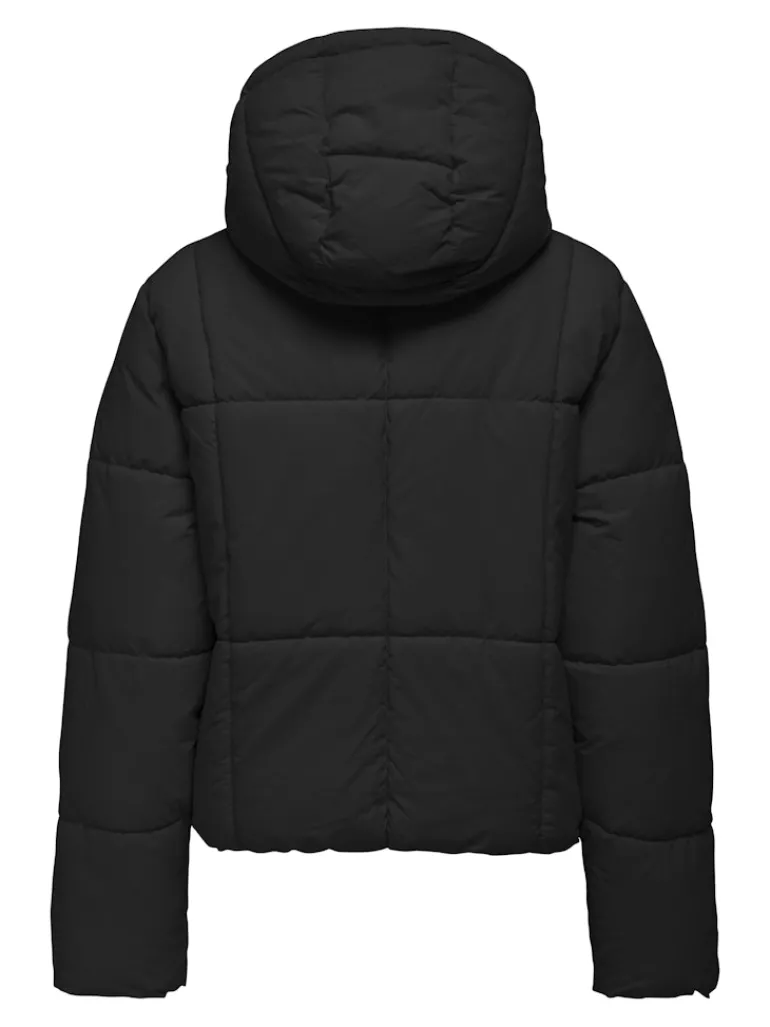 JDYWONDER SHORT HOOD PUFFER OTW SIJ black