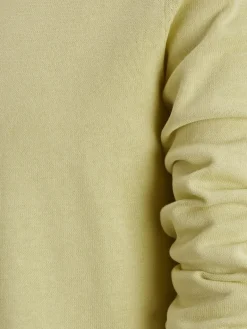 JJELEO KNIT CREW NECK NOOS golden mist