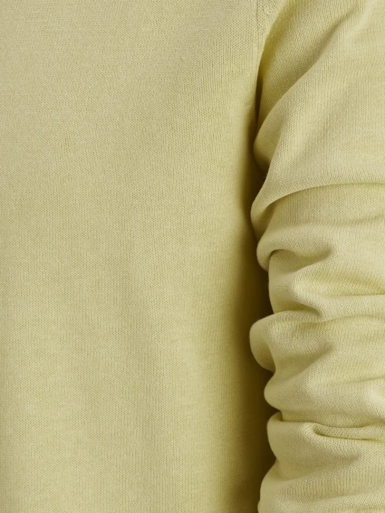 JJELEO KNIT CREW NECK NOOS golden mist