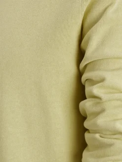 JJELEO KNIT CREW NECK NOOS golden mist