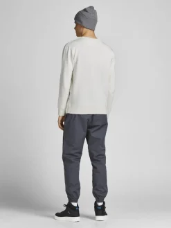 JJEORGANIC BASIC SWEAT CREW NECK NOOS cloud dancer
