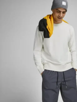 JJEORGANIC BASIC SWEAT CREW NECK NOOS cloud dancer