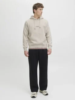 JJESOHO SWEAT HOOD NOOS moonbeam
