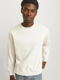 JJEURBAN EDGE SWEAT CREW NECK NOOS moonbeam