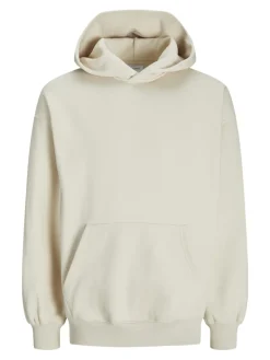 JJEURBAN EDGE SWEAT HOOD NOOS moonbeam