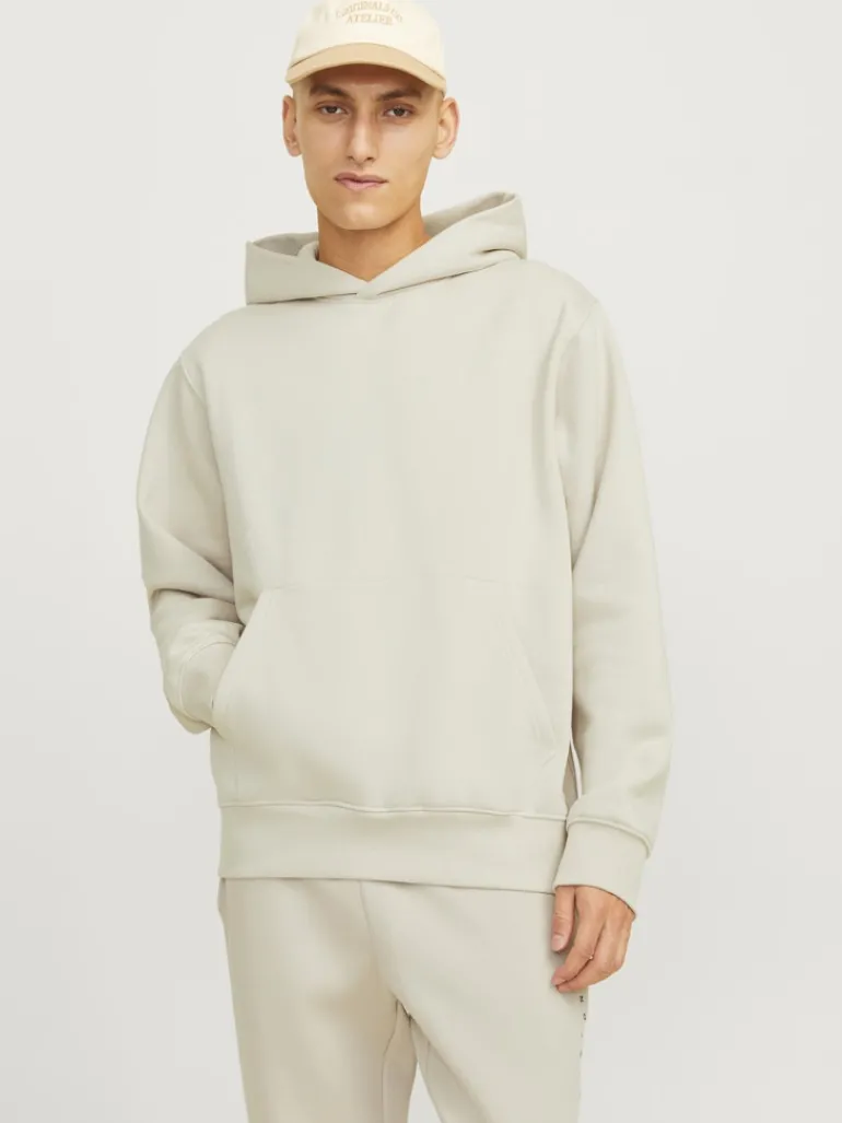 JJEURBAN EDGE SWEAT HOOD NOOS moonbeam