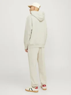 JJEURBAN EDGE SWEAT HOOD NOOS moonbeam