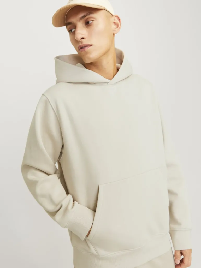 JJEURBAN EDGE SWEAT HOOD NOOS moonbeam