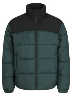 JJMOON STAND COLLAR PUFFER magical forest