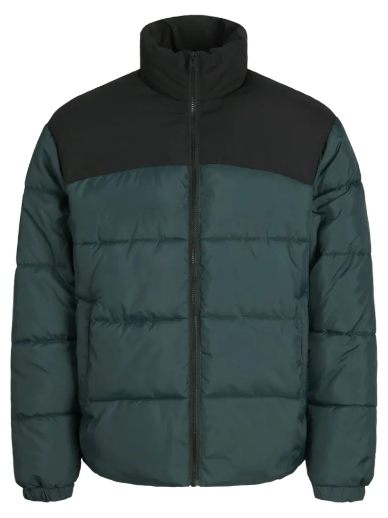 JJMOON STAND COLLAR PUFFER magical forest