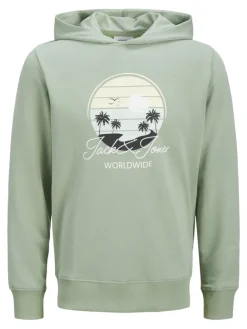 JJPALM SWEAT HOOD iceberg green