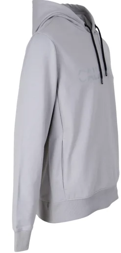 MATT SHINE SPLIT LOGO HOODIE grey fog
