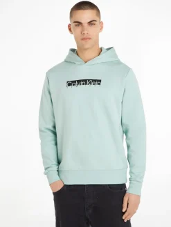 NEW YORK BOX LOGO HOODIE ghost glacier