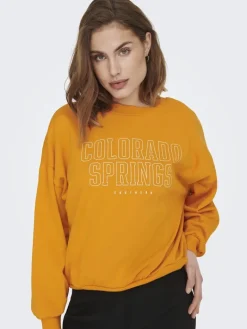ONLCALLIE L/S O-NECK BOX SWT apricot