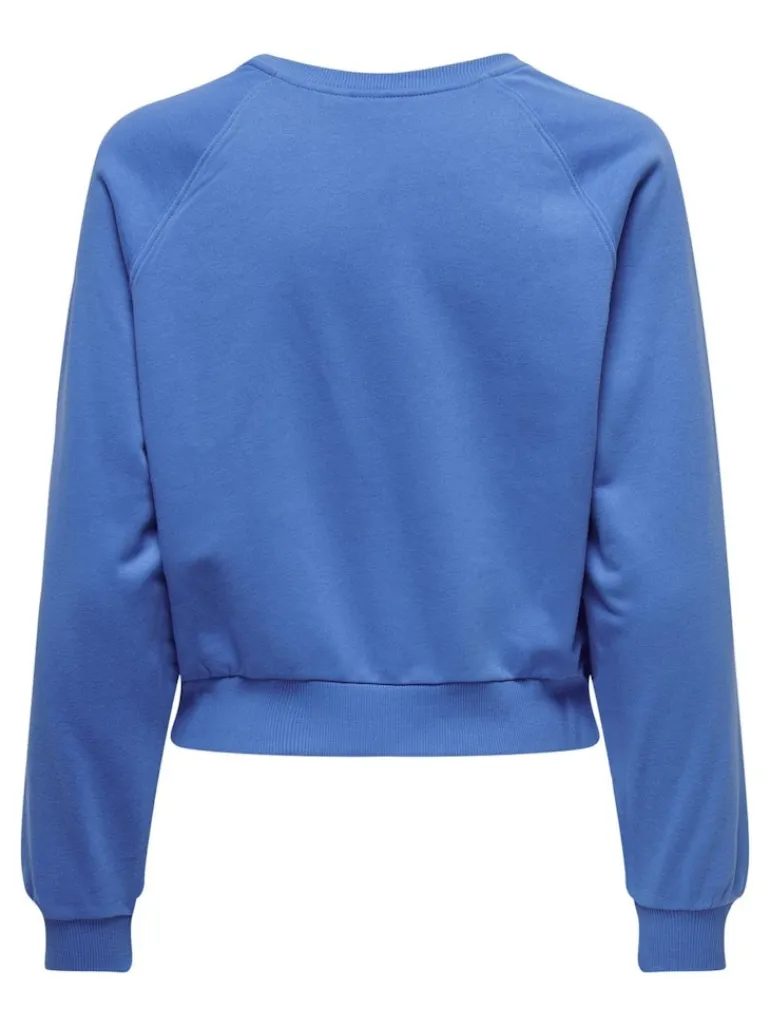 ONLLANEY L/S NEW YORK O-NECK BOX SWT super sonic