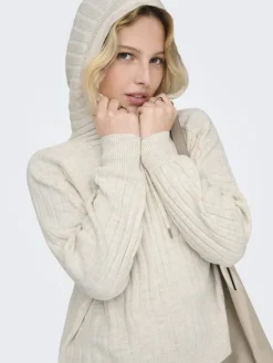 ONLNEW TESSA LS HOOD DETAIL PUL NOOS KNT hellgrau
