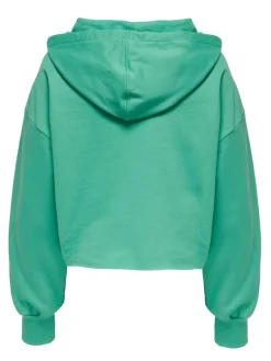 ONLZOEY LS DREAMER CROPPED HOOD NN winter green