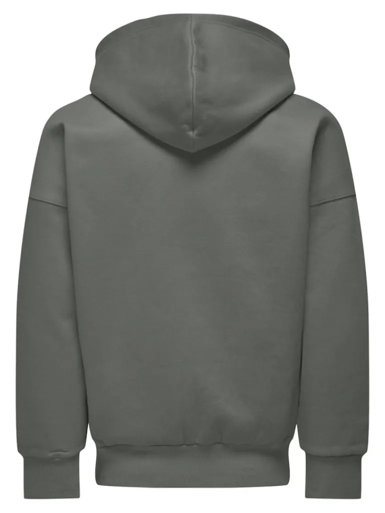 ONSDAN LIFE RLX HEAVY ZIP HOODIE NOOS castor gray