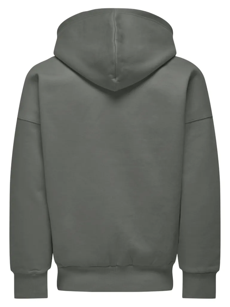 ONSDAN LIFE RLX HEAVY ZIP HOODIE NOOS castor gray