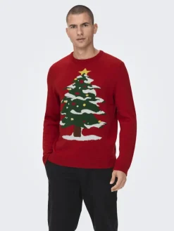 ONSXMAS REG FUNNY CREW KNIT pompeian red