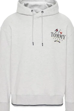 RELAXED FIT SKATER-HOODIE MIT LOGO silver grey