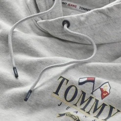RELAXED FIT SKATER-HOODIE MIT LOGO silver grey