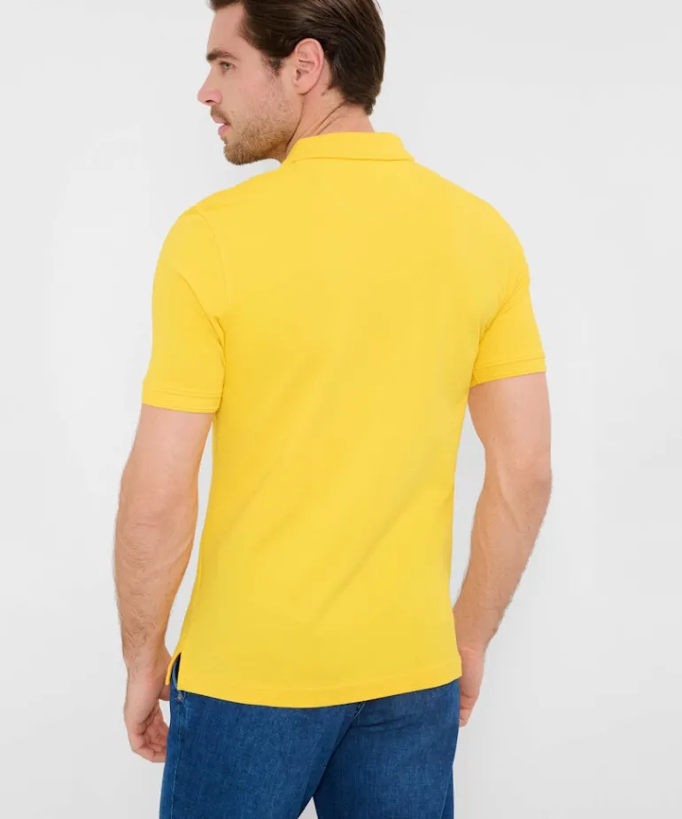 Style Pete canary