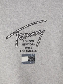TJM OVZ AOP BACK HOODIE silver grey htr