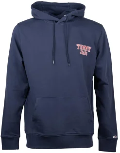 TJM REG ENTRY GRAPHIC HOODIE blau