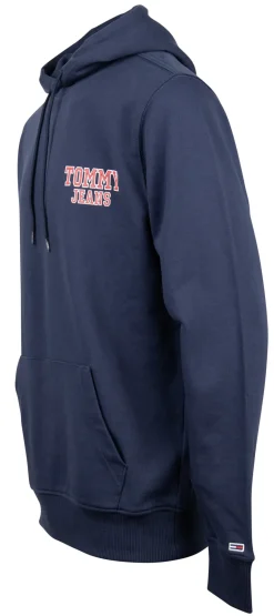 TJM REG ENTRY GRAPHIC HOODIE blau