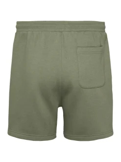 TJM S FLAG BEACH SHORT EXT aruba green