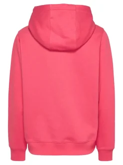 TJW REG S FLAG HOODIE amour