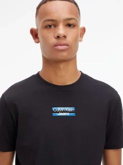 TRANSPARENT STRIPE LOGO TEE ck black
