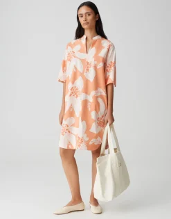 Wiara pale orange